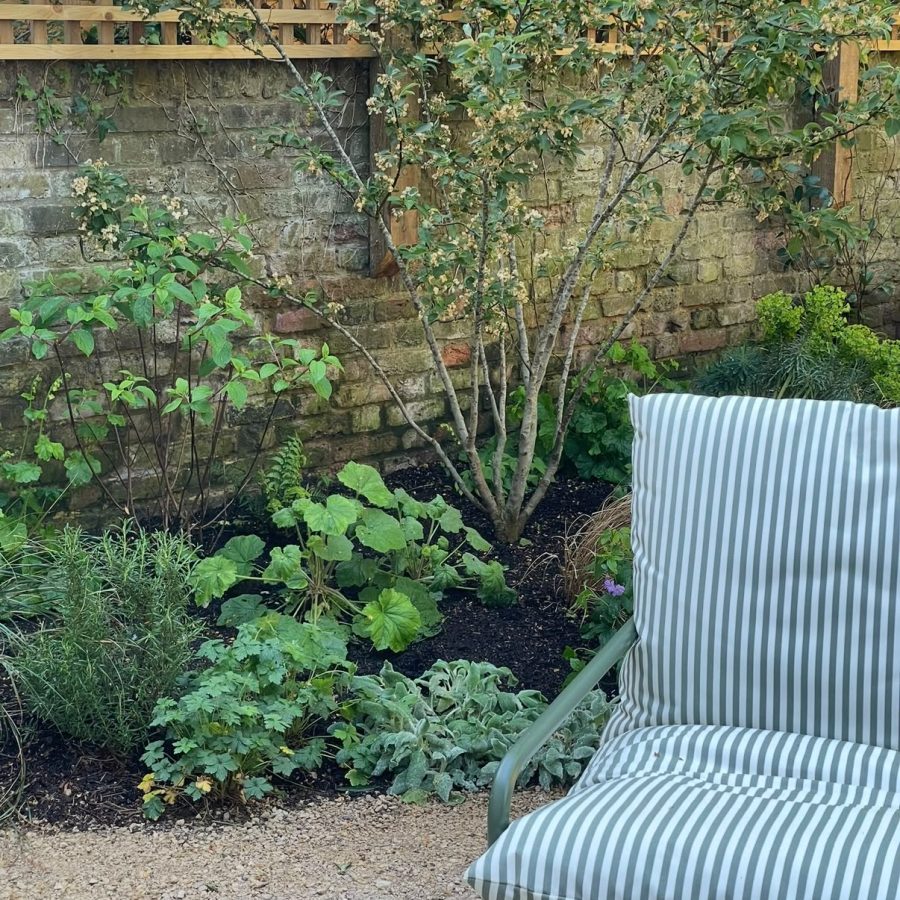A Garden That Feels Like It Has Always Been Here — project photo