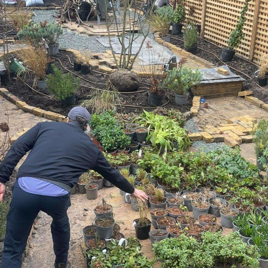 A Garden That Feels Like It Has Always Been Here — project photo