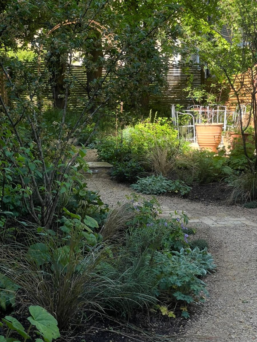 Reclaimed materials settling into layered planting
