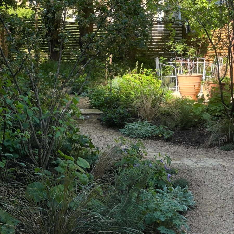Reclaimed materials settling into layered planting