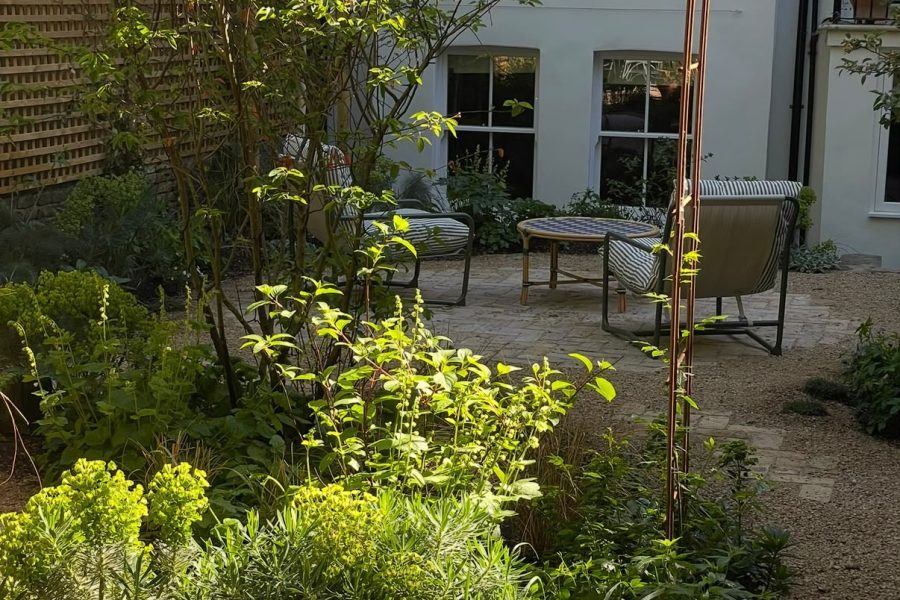 The finished woodland courtyard beside the house