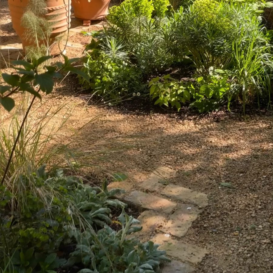 A Garden That Feels Like It Has Always Been Here — project photo