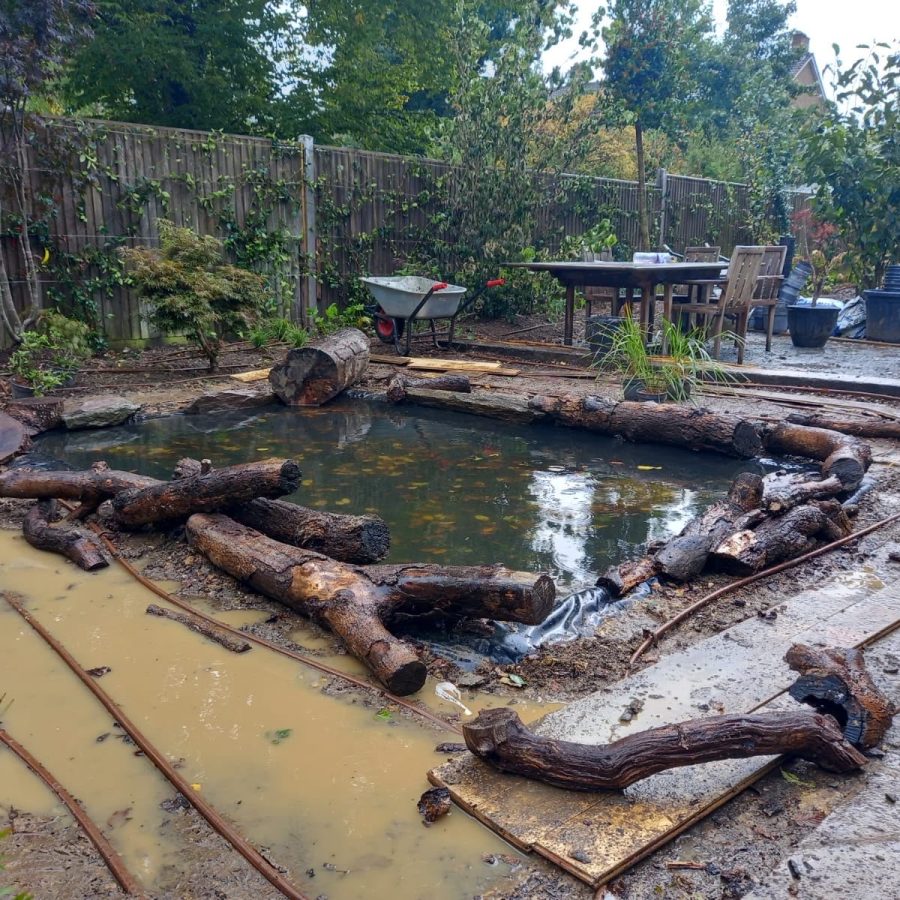 An Eastern-Inspired Garden — project photo
