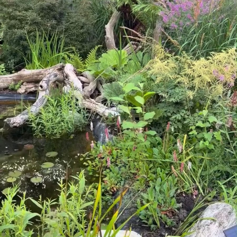 An Eastern-Inspired Garden — project photo