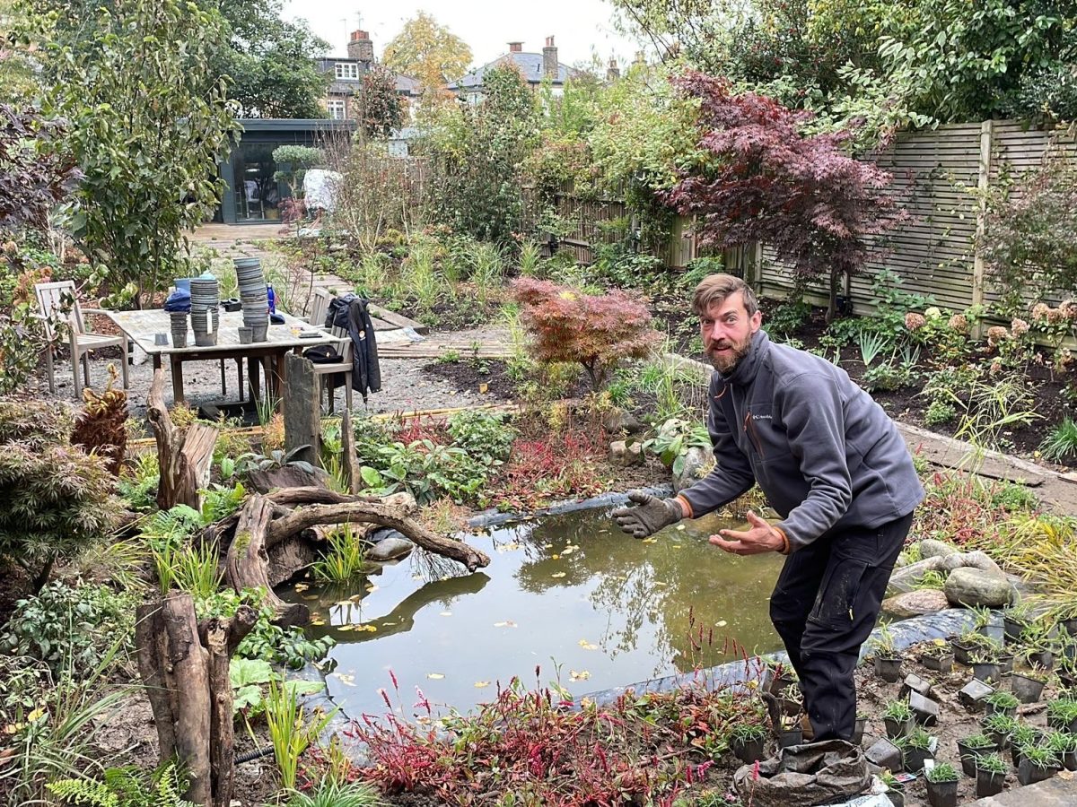 The East Finchley garden