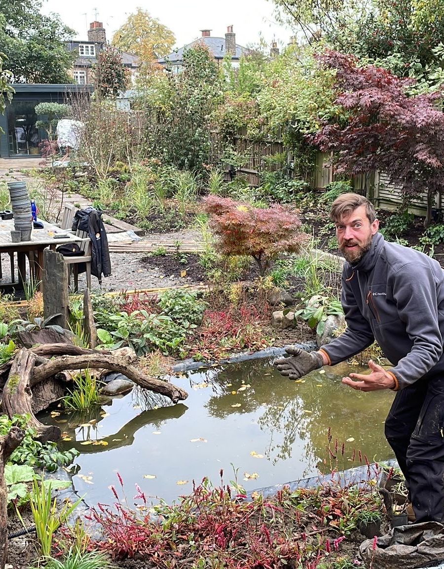 The East Finchley garden