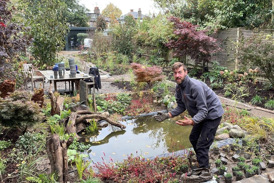 The East Finchley garden