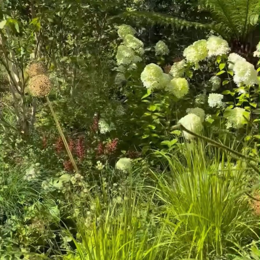 An Eastern-Inspired Garden — project photo