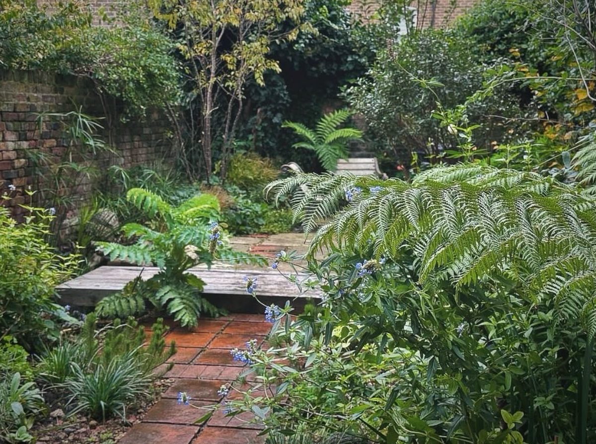 The hidden Victorian garden in Stoke Newington
