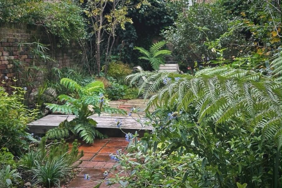 The hidden Victorian garden in Stoke Newington