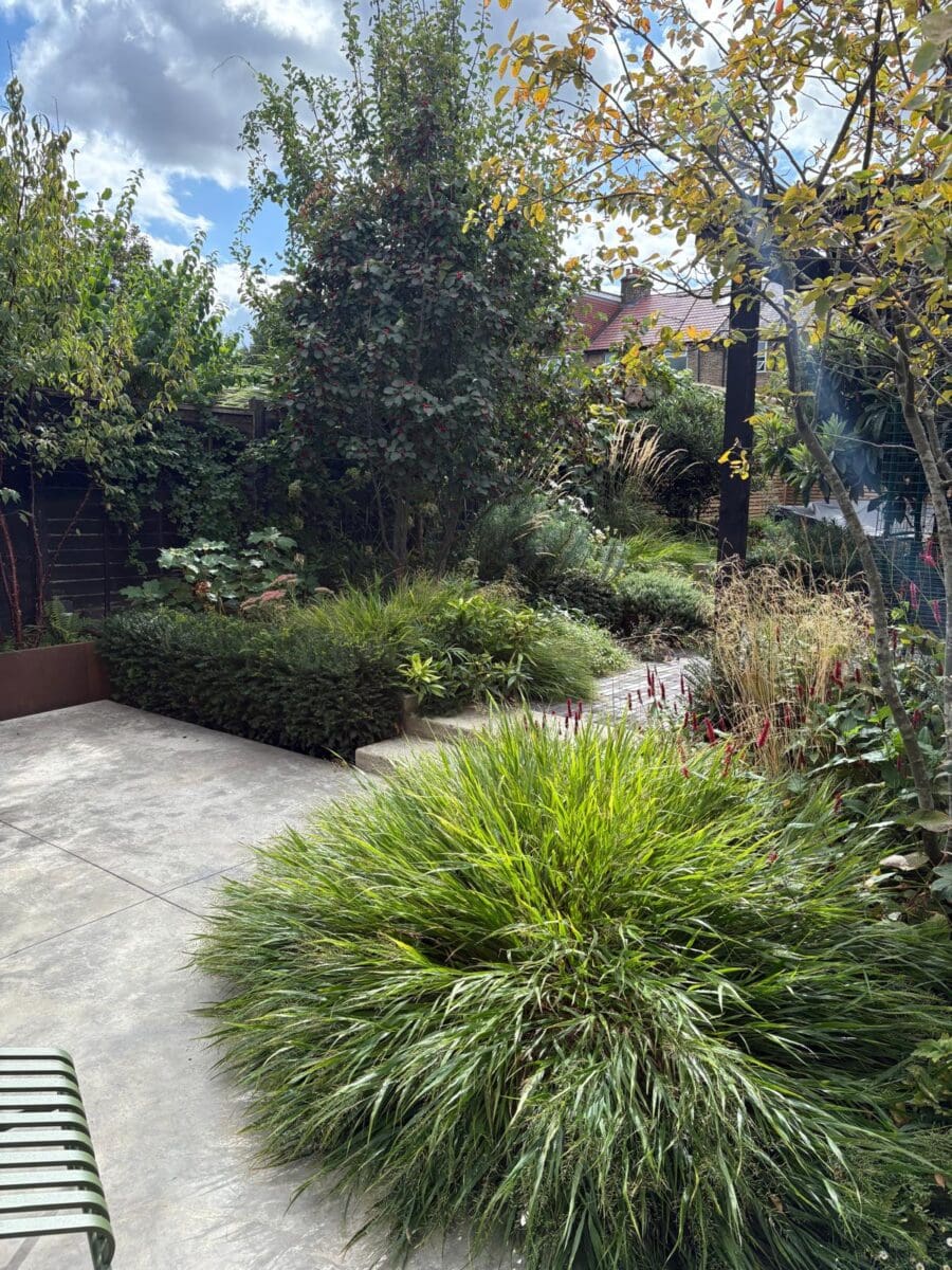 Naturalistic London garden with layered planting and contemporary landscaping