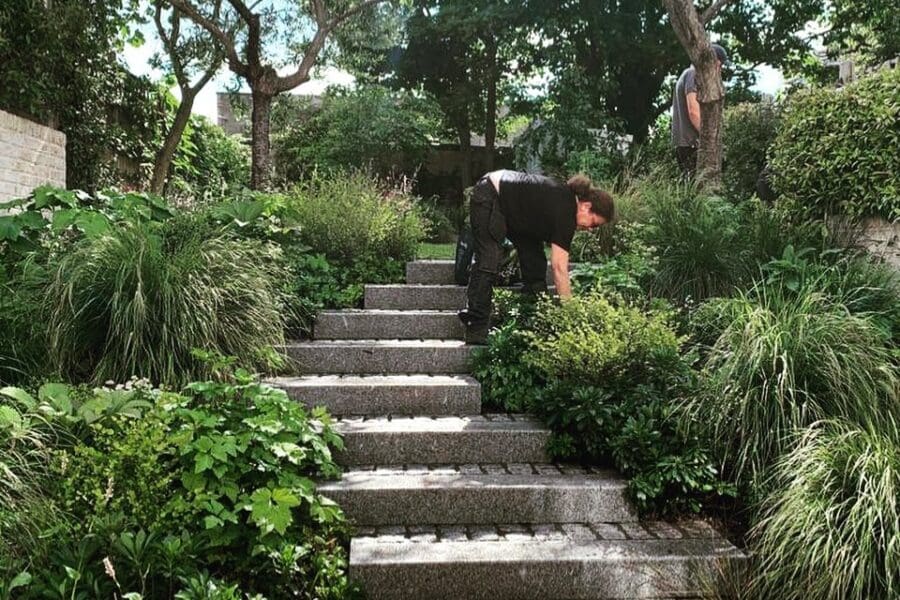 Gold & Wild team caring for an established London garden