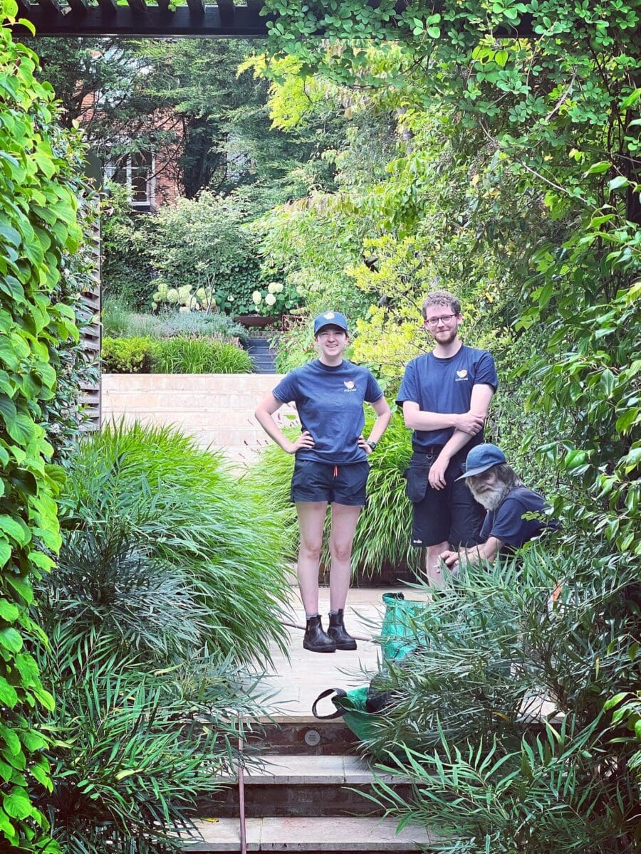 Gold & Wild team caring for an established London garden