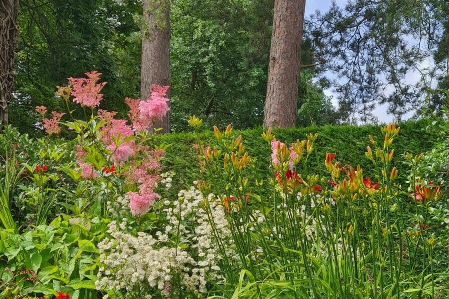 Layered perennial planting and mature trees in a landscaped garden