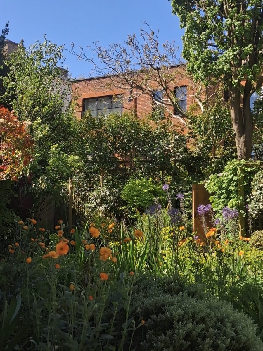 A glade garden — meadow flowing into layered shade