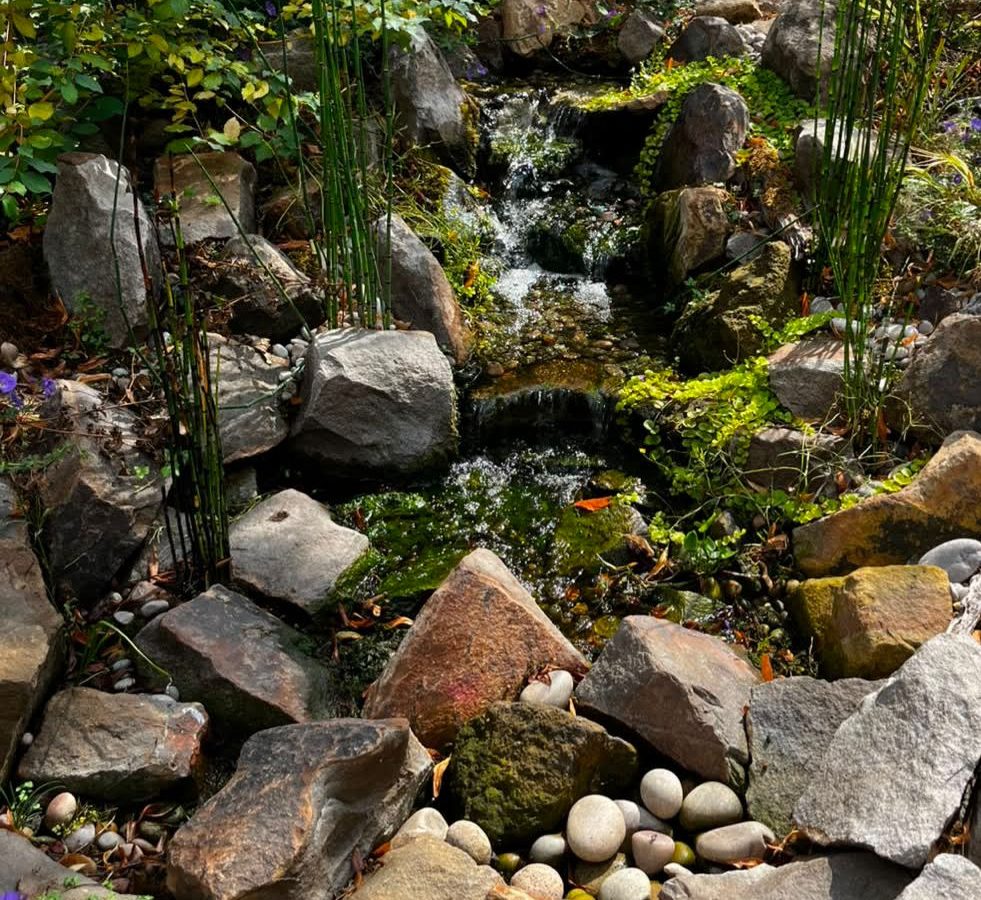 A planted water bowl amongst grasses and foxgloves