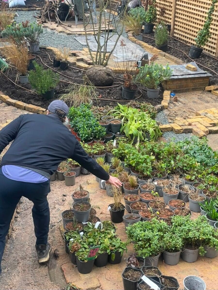 Gold & Wild team planting a garden in London