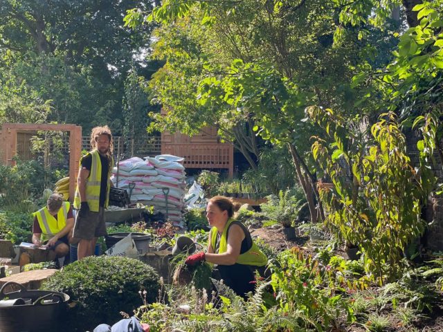 The most gorgeous September light in this beautiful garden in N1 designed by the excellent @mosstudio_gardendesign. The team are busy planting over the next few days softening the sensitively designed family garden that focuses on reclaim of existing material, organic, durable material and explorative and immersive play. An absolute dream …. Thank you @chriskeenan who has led the build plus  @campbellmarykate and Antonio, Sam and @willedgerton for bringing the good vibes to the finale of this build and for @mosstudio_gardendesign for the brilliant teamwork. #garden #gardening #plants #wild #landscape #landscapedesign #landscapephotography #family #islington