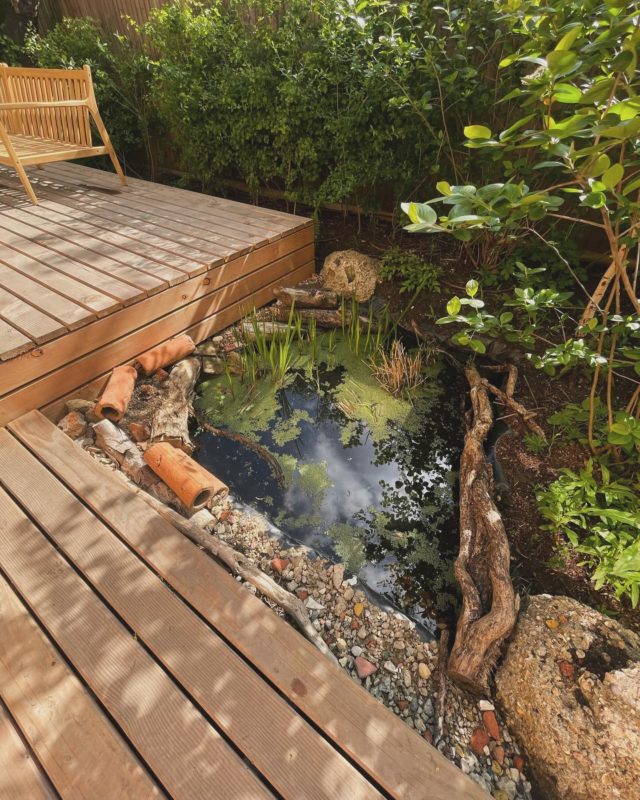 Beautiful space in #belsizepark designed by our sister co @wildcitystudio and installed and maintained by the @gold_and_wild_ crew. Zero waste policy meant crushing existing site waste and laying rubble paths with a light touch approach and food forestry principles to complement the shady wild space. Such a pleasure to have clients who “get it” and love it, we really are very lucky to work with cool clients across London. Thank you! Shots by @chriskeenan and @schmeekle_takestheritz #lighttouch #wildgarden #nature #london #garden #gardendesign #wild #permeculture #foodforest #urbanregeneration